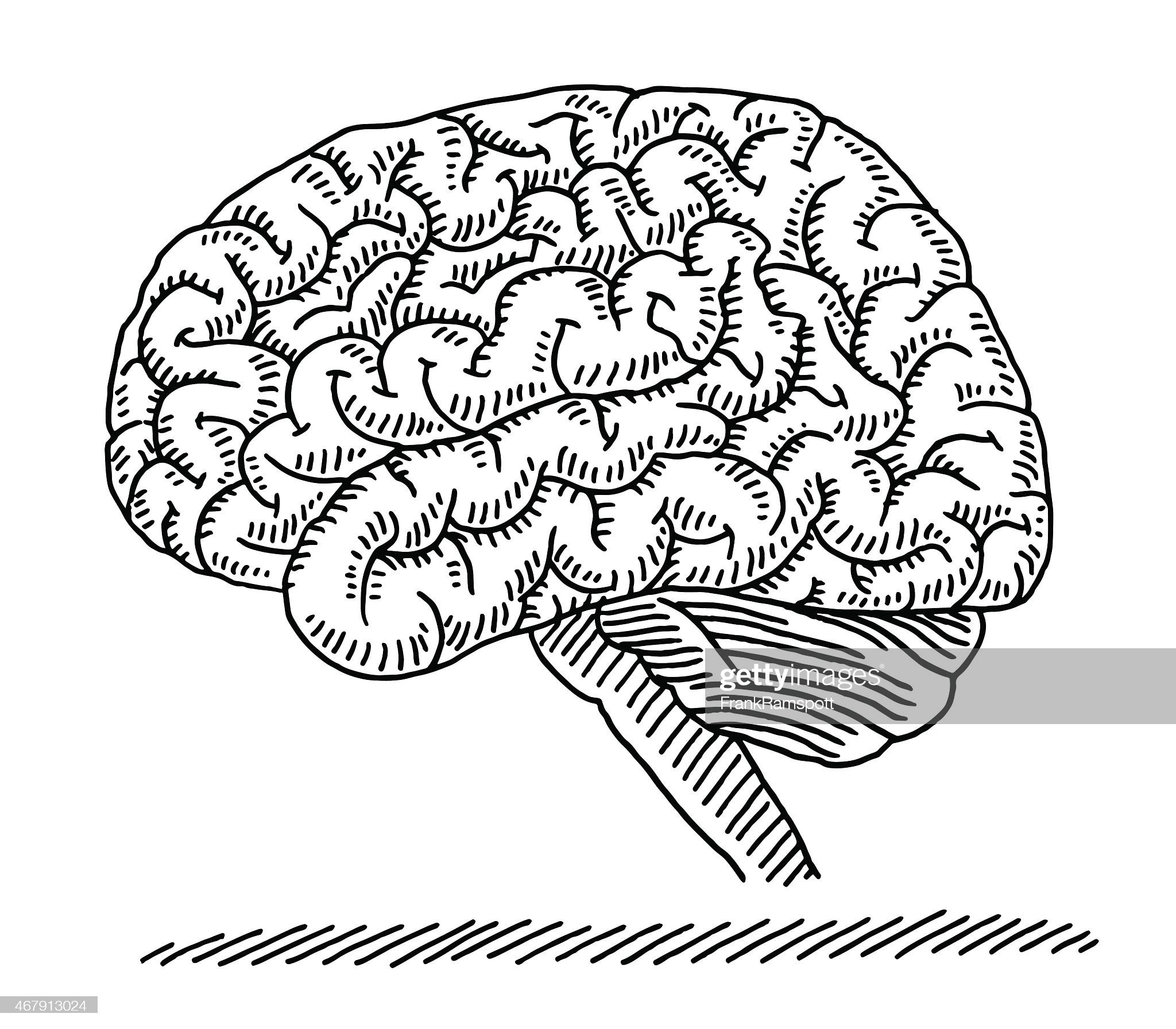 SISTEMA NERVOSO & CERVELLO