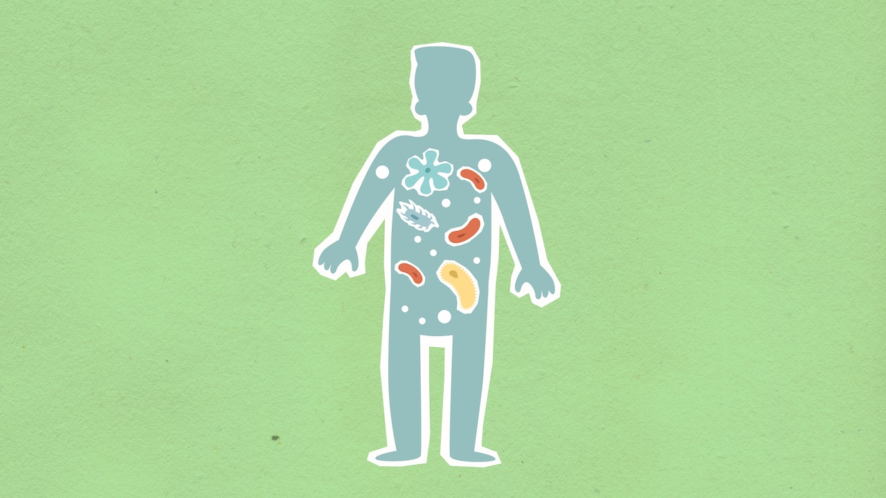 Sfondo verde. In primo piano c'è la sagoma di un uomo con contorno bianco e interno indaco. Dentro la sagoma ci sono cinque cellule disegnate in stile fumetto. La cellula in alto è verde acqua e ha i tentacoli. Da destra verso sinistra, in diagonale, ci sono tre cellule a forma di fagiolo e di colore rosso. In basso a destra c'è una cellula gialla di forma ovale. Ci sono anche delle cellule disegnate come palline bianche sparse per tutta la sagoma. All'interno della sagoma stanno avvenendo alcuni processi del metabolismo cellulare.