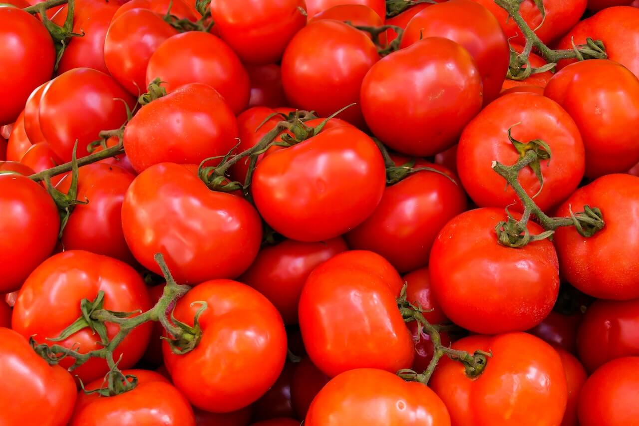 Tanti pomodori rossi tenuti uniti a coppie da piccioli e rami di colore verde.