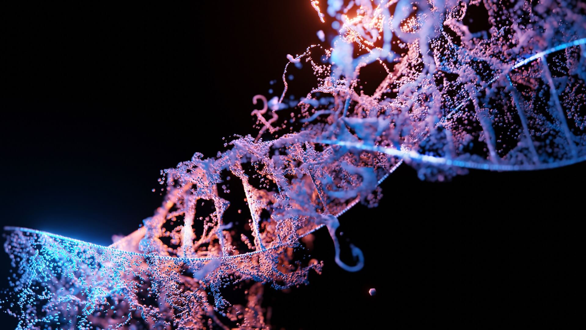 Sintesi proteica di DNA e RNA. Sfondo nero e filamenti viola, blu e rosa.