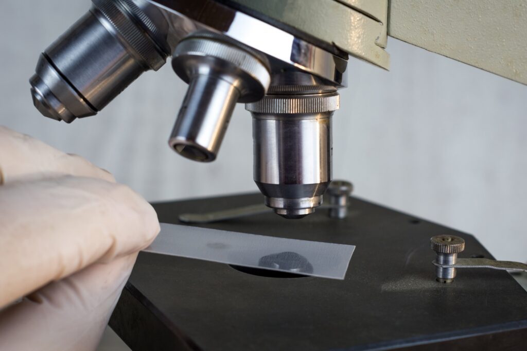 Microscopio