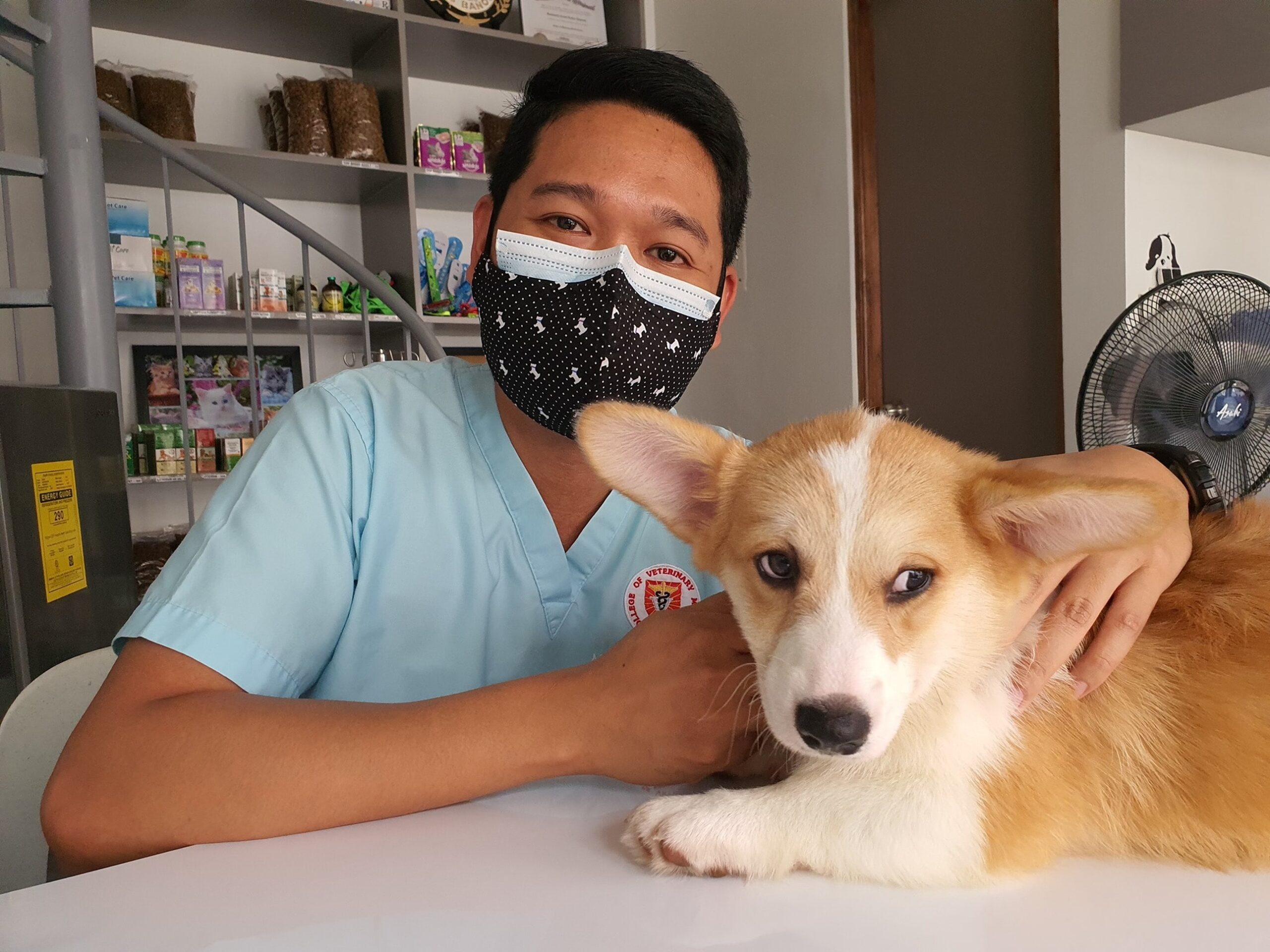 Quanto guadagna un veterinario 5