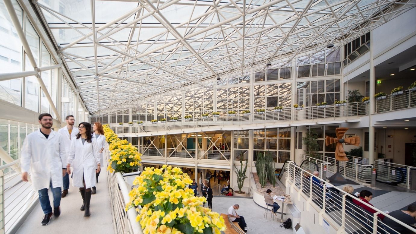 Corridoi dell'università cattolica del sacro cuore di Roma. Ci sono degli studenti con il camice bianco che stanno camminando mentre osservano l'ambiente circostante.