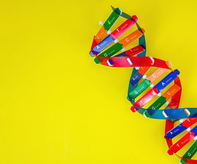 Modellino a forma di DNA su sfondo giallo.