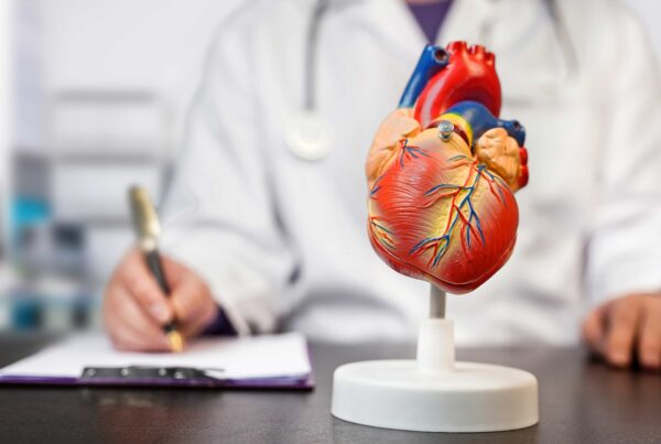 Medico specializzato in Cardiologia che prende appunti mentre guarda un modellino del cuore.