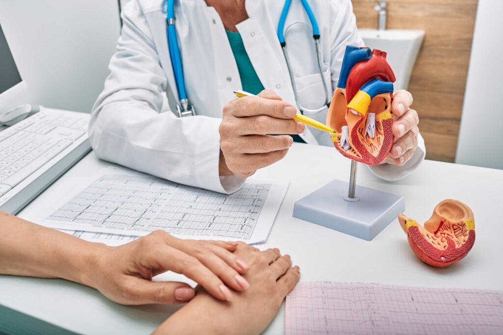Medico con specilizzazione in chirurgia che spiega il funzionamento del cuore a una paziente tramite un modellino.