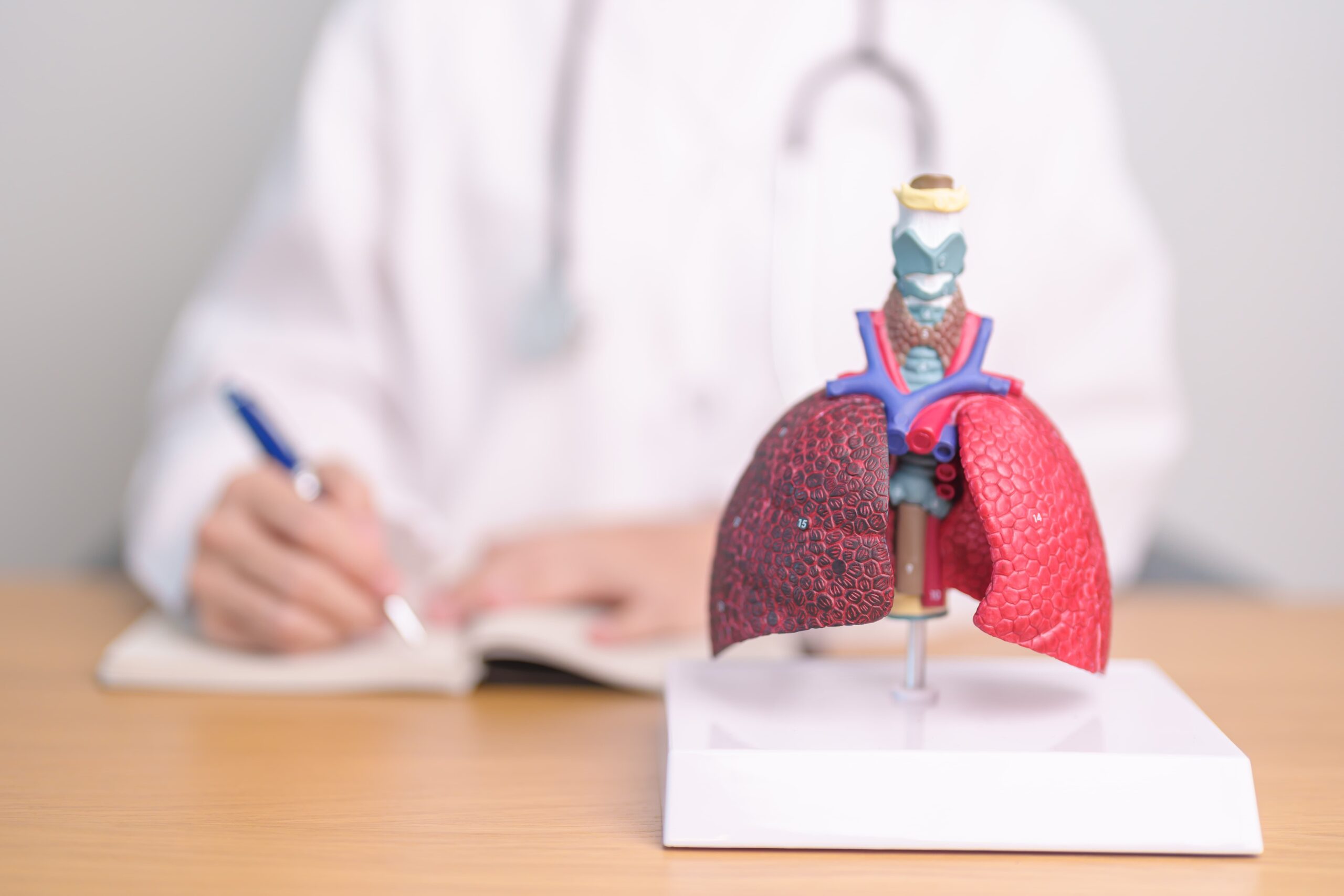 Medico specializzato in pneumologia con anatomia polmonare e differenza tra l'organo sano e quello di un fumatore.