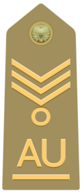 Mostrina del grado Allievo Ufficiale Capo Scelto di Reggimento