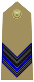 Mostrina del grado Caporale