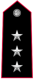 Mostrina grado Capitano OF-2 Carabinieri