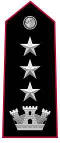 Mostrina grado Colonnello OF-5 Carabinieri