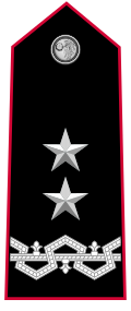 Mostrina grado Generale di Divisione Carabinieri