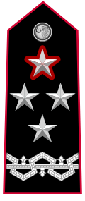 Mostrina grado Generale di Corpo d’Armata Comandante Generale OF-9a Carabinieri