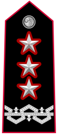 Mostrina grado Generale di Corpo d’Armata Vice Comandante Generale OF-9b Carabinieri