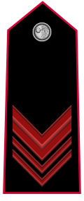 Mostrina grado Appuntato Scelto OR-6 Carabinieri