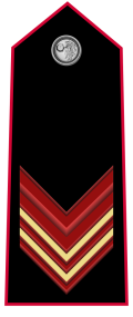 Mostrina grado Vicebrigadiere OR-7 Carabinieri