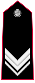 Mostrina grado Brigadiere OR-8 Carabinieri