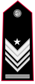 Mostrina grado Brigadiere Capo Qualifica Speciale variante Carabinieri