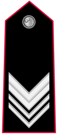 Mostrina grado Brigadiere Capo OR-9c Carabinieri