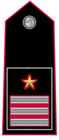 Mostrina grado Luogotenente Carabinieri