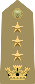 Mostrina del grado Colonnello