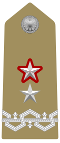 Mostrina del grado Generale di Brigata con funzioni superiori