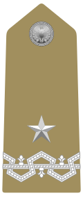 Mostrina del grado Generale di Brigata