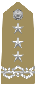 Mostrina del grado Generale di Corpo d’Armata
