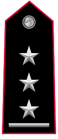 Mostrina grado Primo Capitano Carabinieri