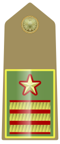 Mostrina del grado Luogotenente