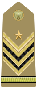 Mostrina del grado Sergente Maggiore Capo (qualifica speciale)