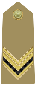 Mostrina del grado Sergente