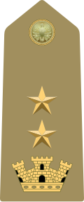 Mostrina del grado Tenente Colonnello