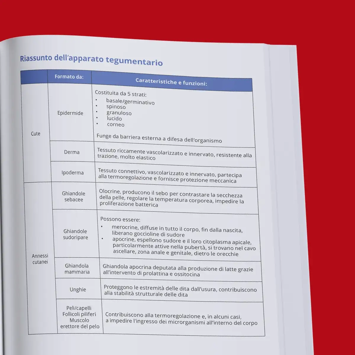 Kit Boost Medicina Cattolica — anteprima pagina 3