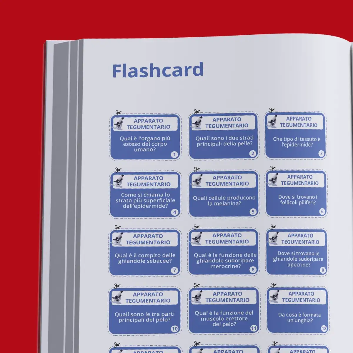 Kit Teoria e Pratica Medicina Cattolica — anteprima pagina 2