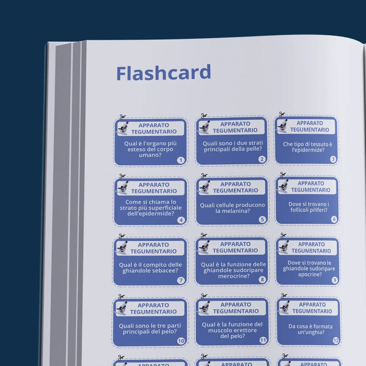 Kit Teoria e Pratica Professioni Sanitarie — anteprima pagina 2