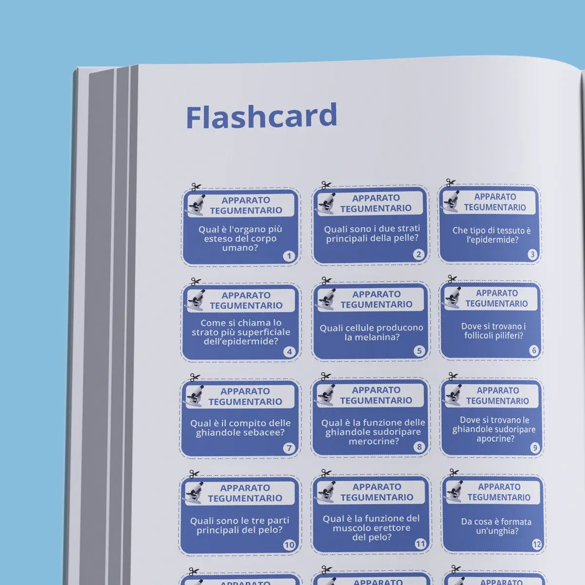 Manuale di Teoria Professioni Sanitarie — anteprima pagina 3