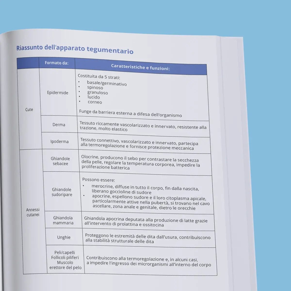 Manuale di Teoria Professioni Sanitarie — anteprima pagina 4