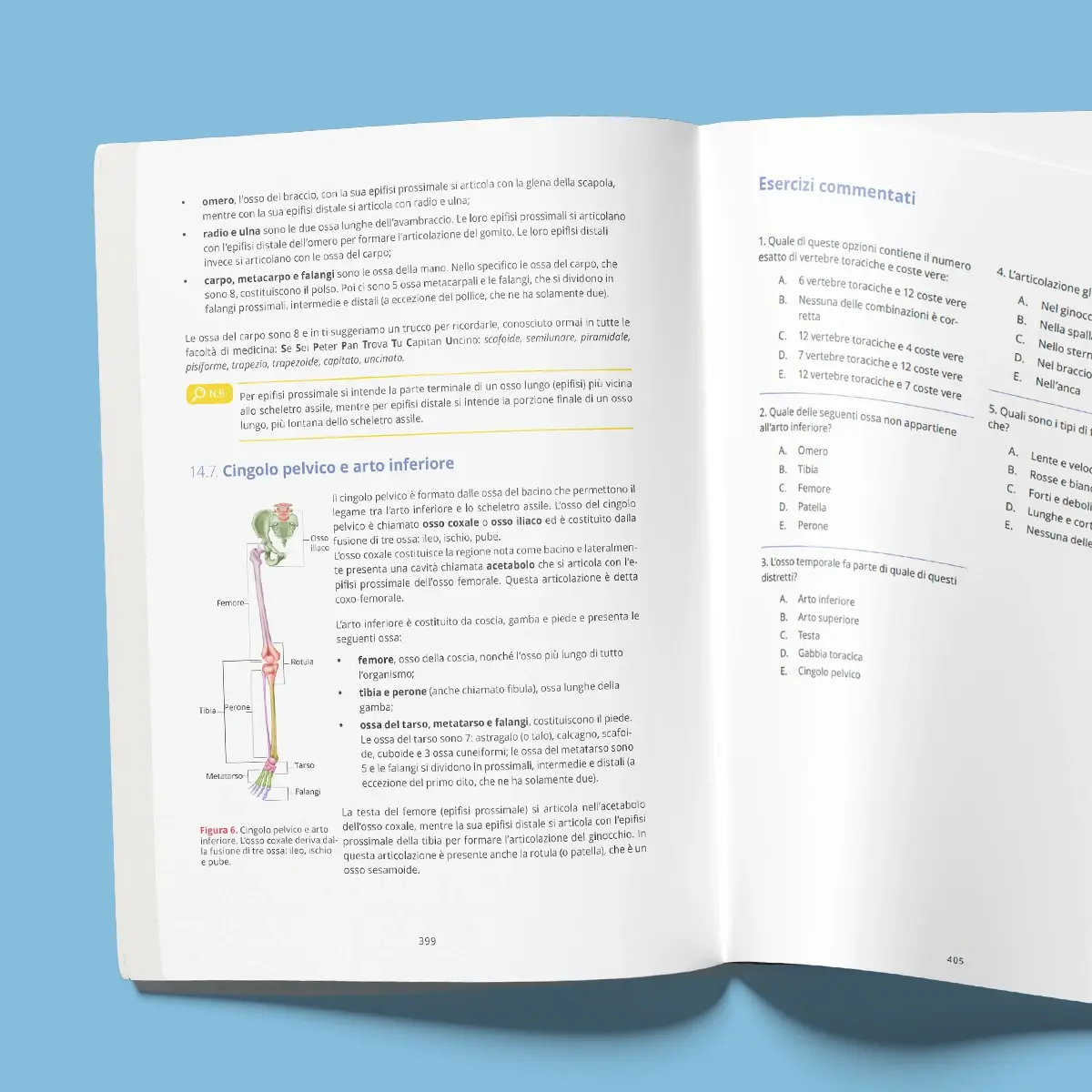 Manuale di Teoria Professioni Sanitarie — anteprima pagina 5