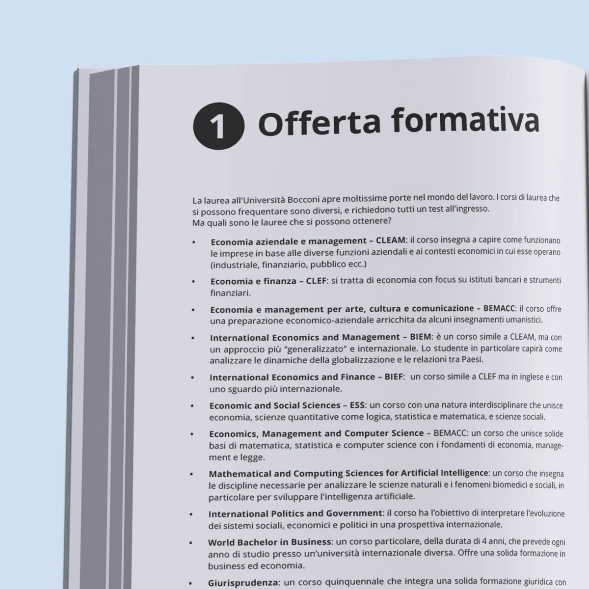 Manuale di Pratica Test Bocconi — anteprima pagina 4