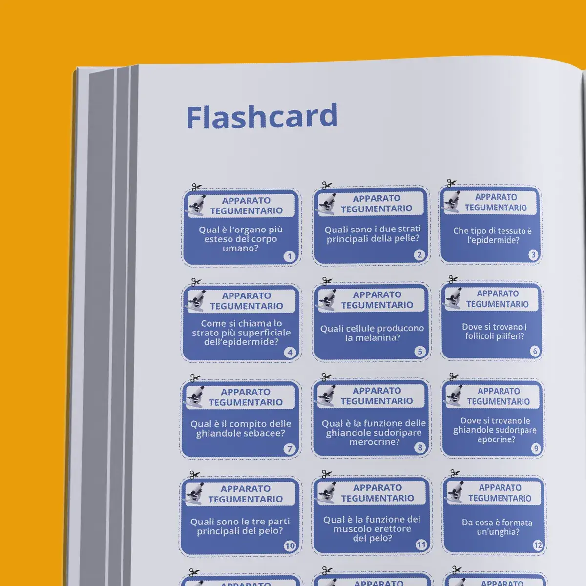 Manuale di Teoria TOLC-F Farmacia — anteprima pagina 4