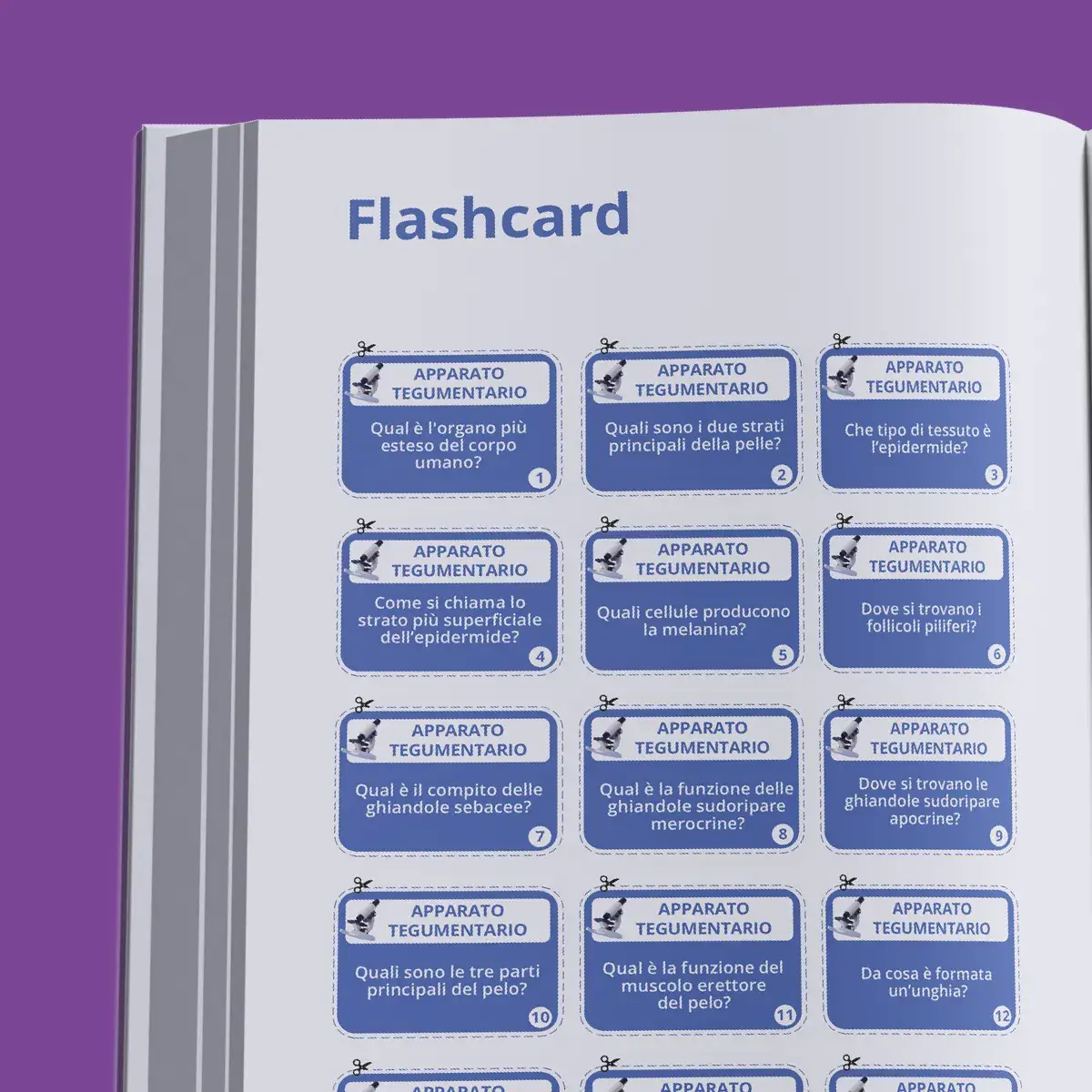 Kit Teoria e Pratica TOLC-PSI Psicologia — anteprima pagina 2