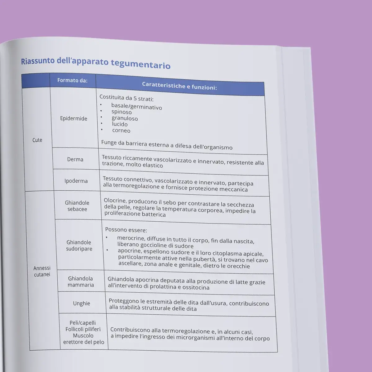 Interni del manuale di preparazione (teoria) per il tolc-psi