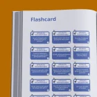 Interni del manuale di preparazione (Kit Teoria + Pratica) per il tolc-b/f/s/av